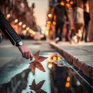 Meet your Posher, Elli